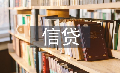 信贷档案审计使命总结