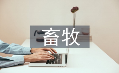 畜牧查询拜访报告