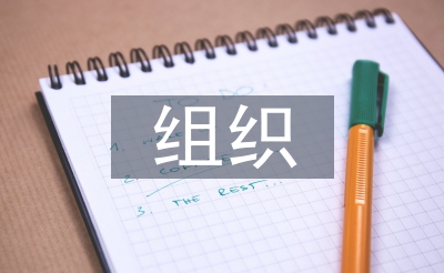 经济义务审计构造体例
