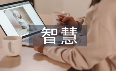 聪明游览的界说